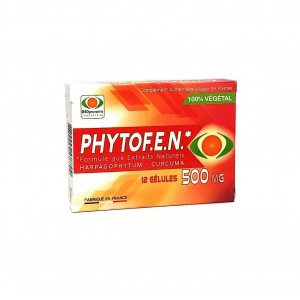 Phytofen 500 mg - 12 Gélules