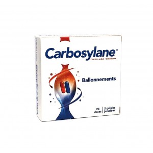 Carbosylane - 48 Gélules