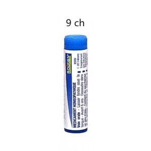 Arnica Montana 9CH Boiron -...