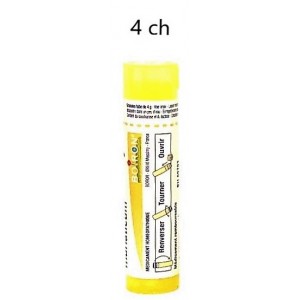 Antimonium Crudum 4CH...