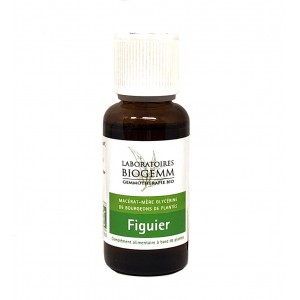 Figuier Biogemm - 30 ml