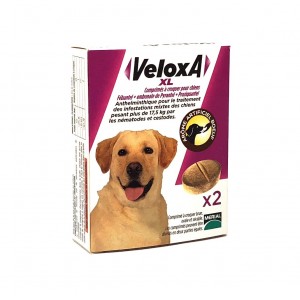 Veloxa Vermifuge Chien XL -...