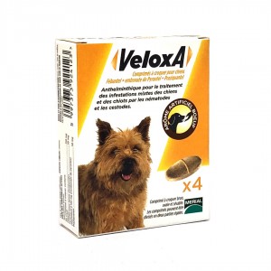 Veloxa Vermifuge Chiens - 4...