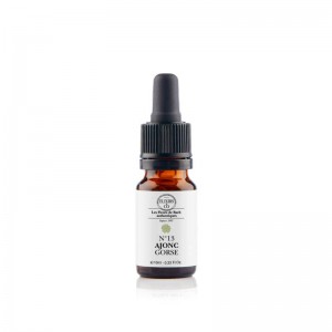 Ajonc/Gorse n°13 Elixirs &...